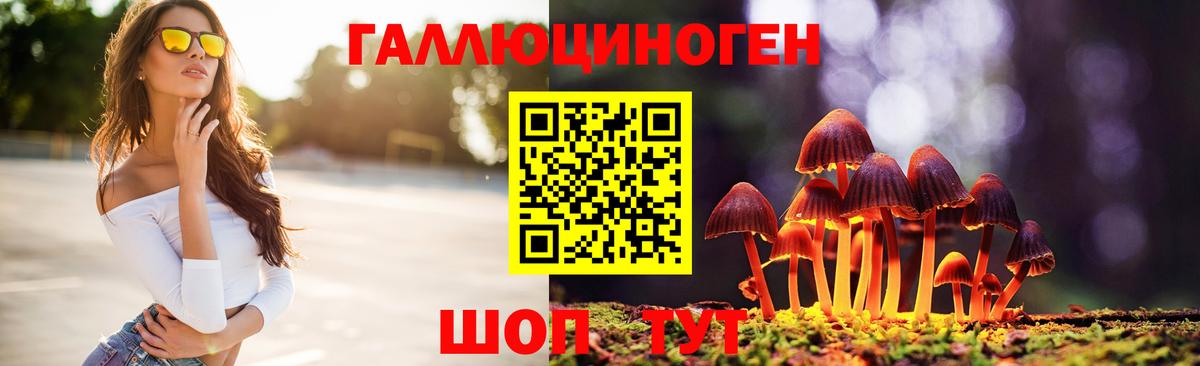 Лангепас  Псилоцибиновые грибы Psilocybe  Вход с VPN 